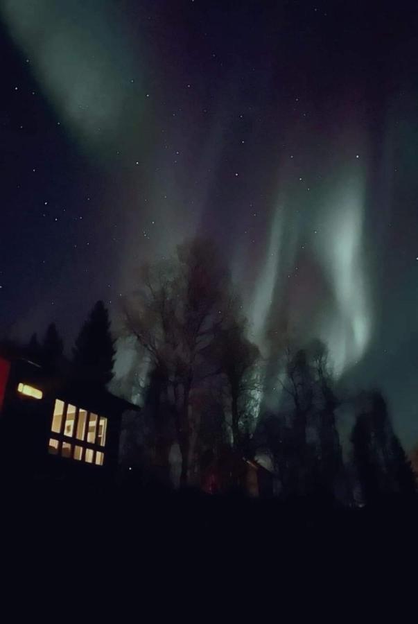 Cosy Cabin In North-Norway, Nearby Senja. Sorreisa المظهر الخارجي الصورة